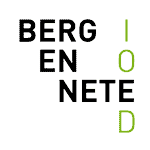 bergennete.be Logo